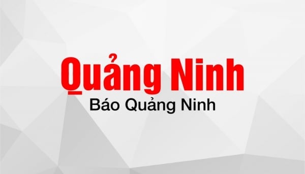 Bộ Chính trị yêu cầu nghiên cứu bỏ cấp huyện, sáp nhập một số đơn vị hành chính cấp tỉnh