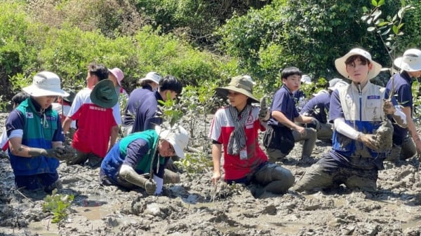 Voluntarios coreanos en Vietnam: hacia una comunidad de unidad y solidaridad