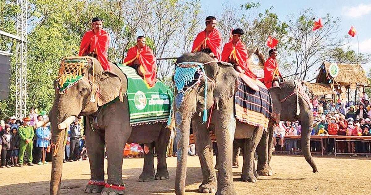 Fête des éléphants de Buon Don