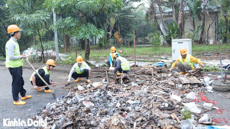 Workers collect and transport garbage to designated places, ensuring environmental hygiene and safety.