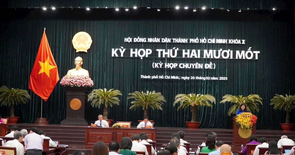 Ho Chi Minh City arranges effective and efficient apparatus