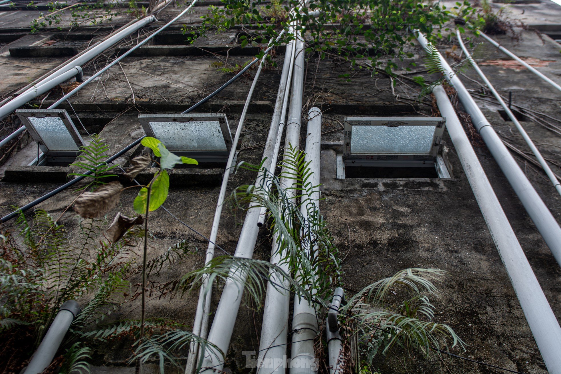 Gros plan d'une série d'immeubles d'appartements délabrés dans le centre de la ville d'Ha Long, photo 11