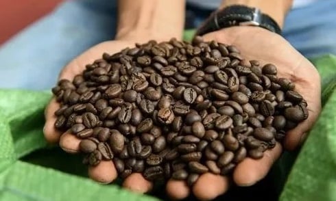 Coffee prices could fall up to 30% in 2025