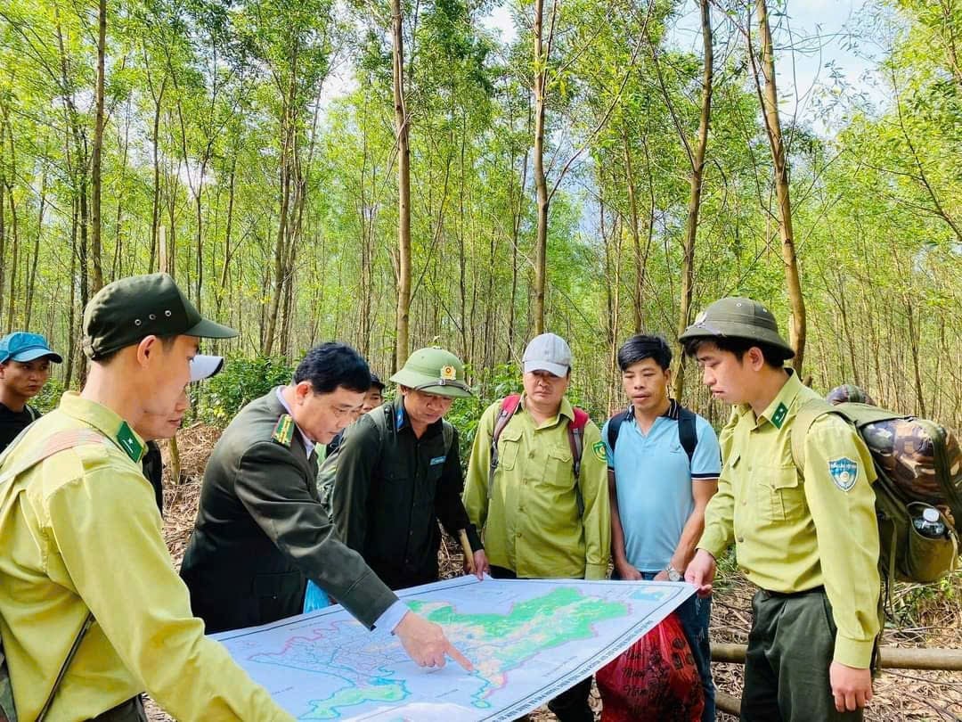 Strengthening forest patrol management and protection