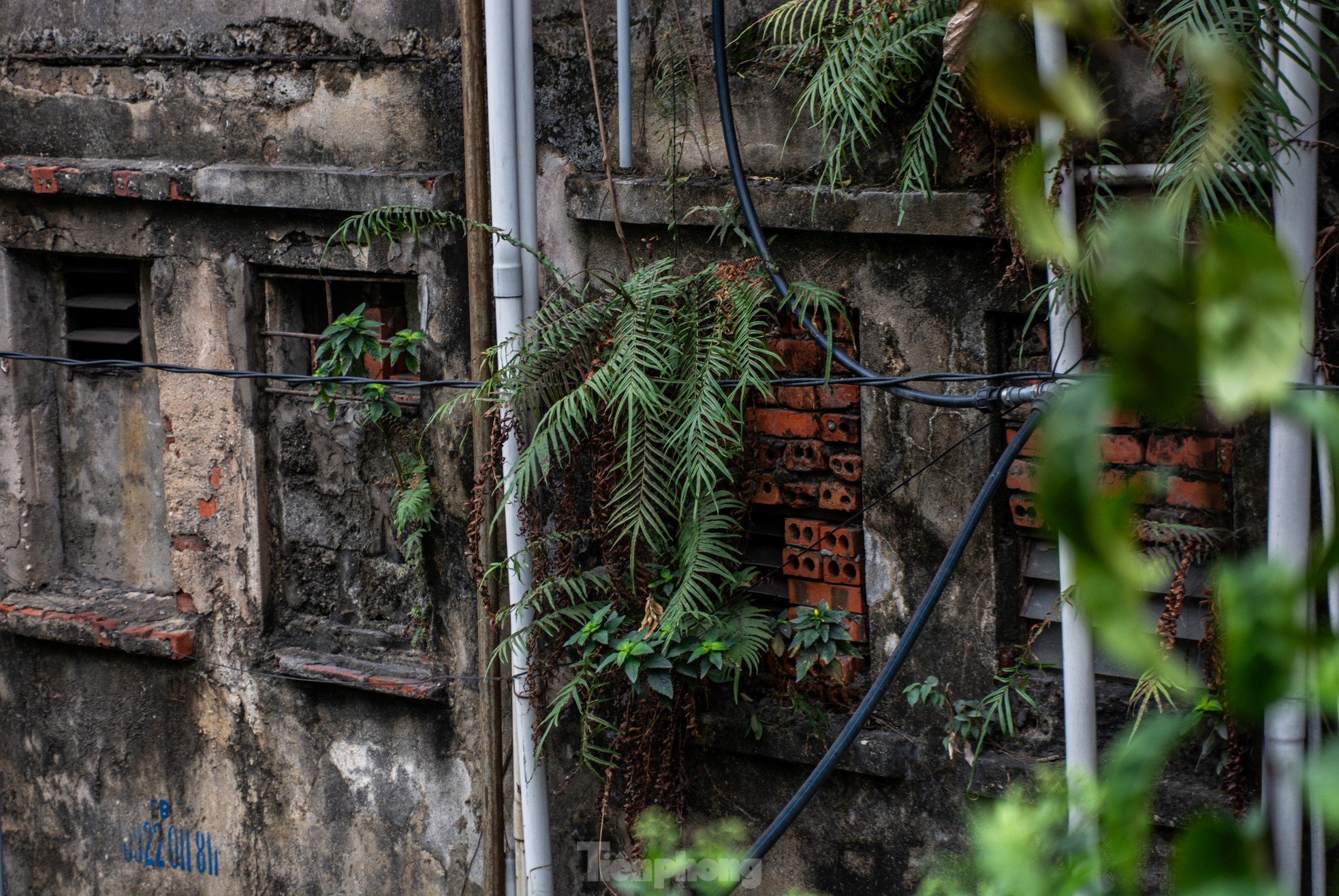 Gros plan d'une série d'immeubles d'appartements délabrés dans le centre de la ville d'Ha Long, photo 21