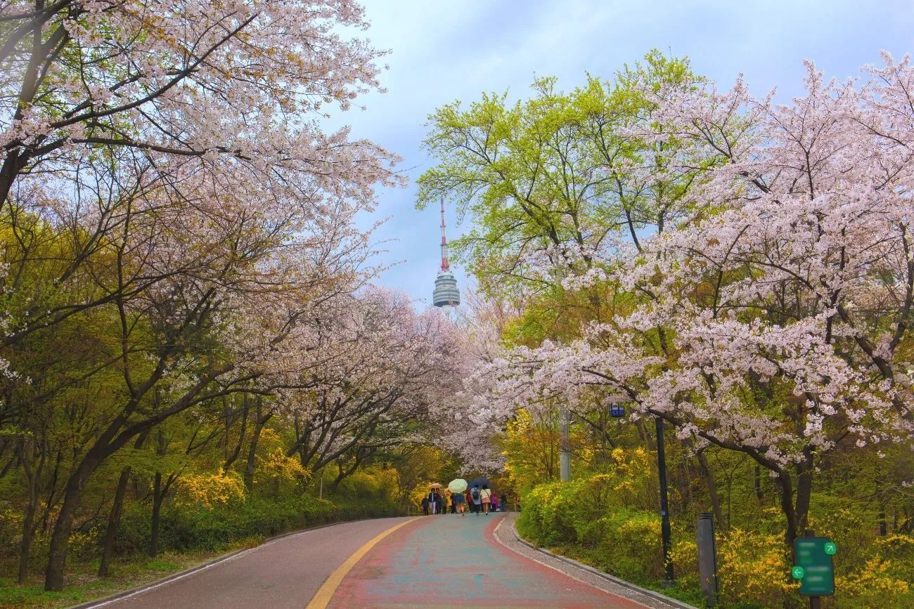 Los 6 parques de flores más bonitos de Corea