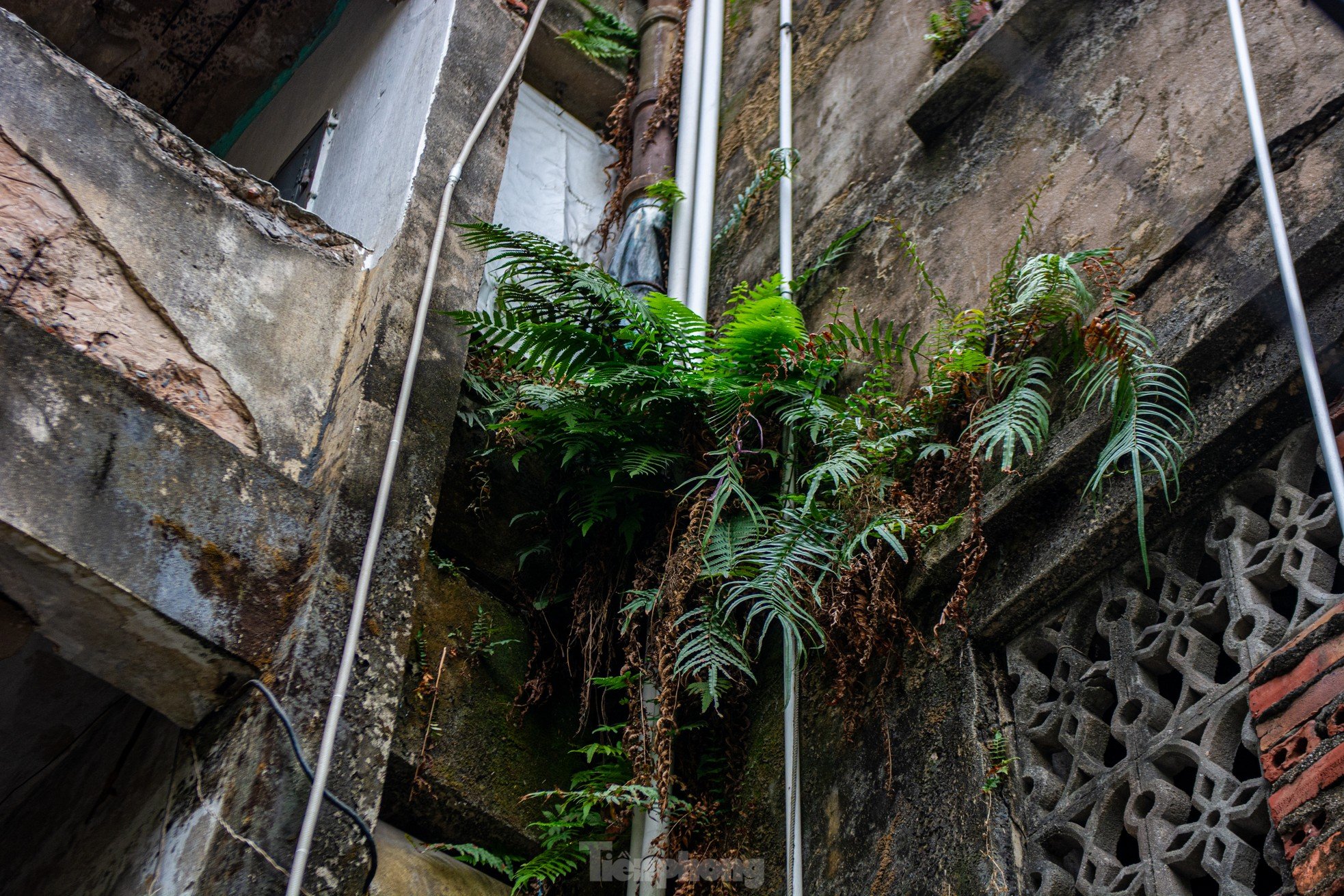 Gros plan d'une série d'immeubles d'appartements délabrés dans le centre de la ville d'Ha Long, photo 20