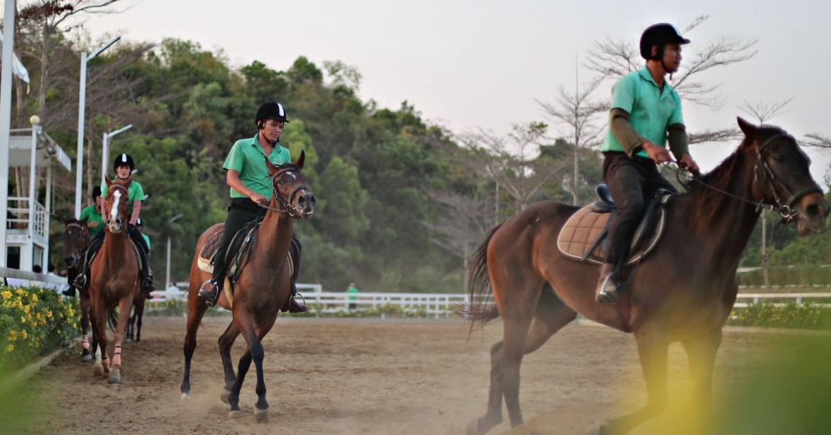 Permitir la inversión en carreras de caballos y carreras de perros con apuestas en Lam Dong