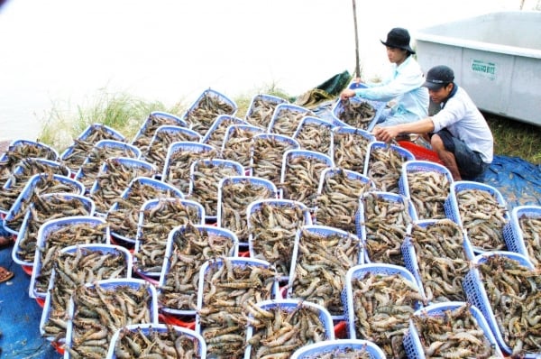 Las industrias del cuero, el calzado y los productos del mar tienen el doble de ventajas.