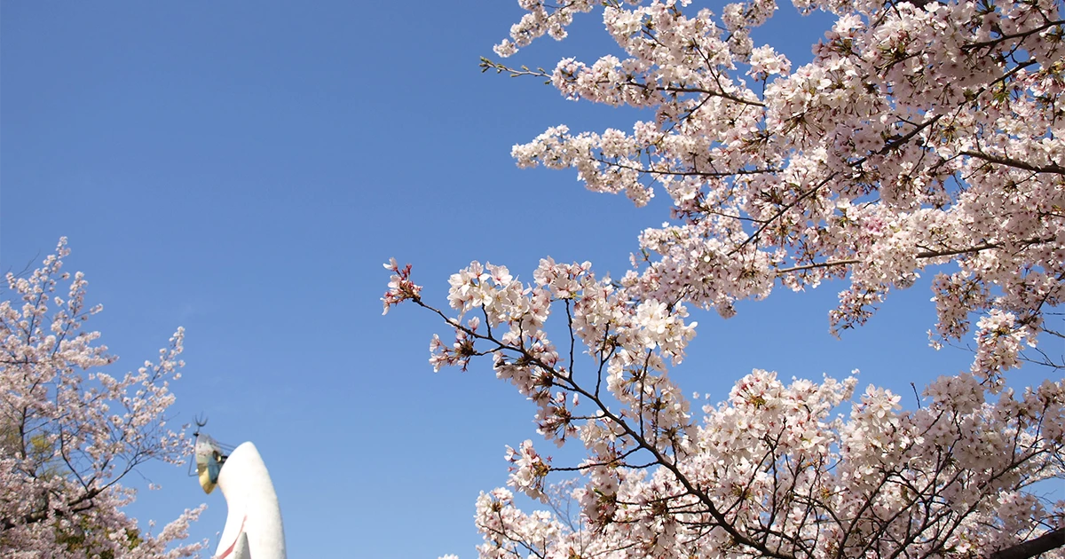 Tres nuevos destinos que no debes perderte si viajas a Japón en primavera