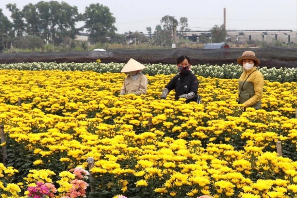 Cẩm Giàng giải ngân hơn 10 tỷ đồng tín dụng chính sách