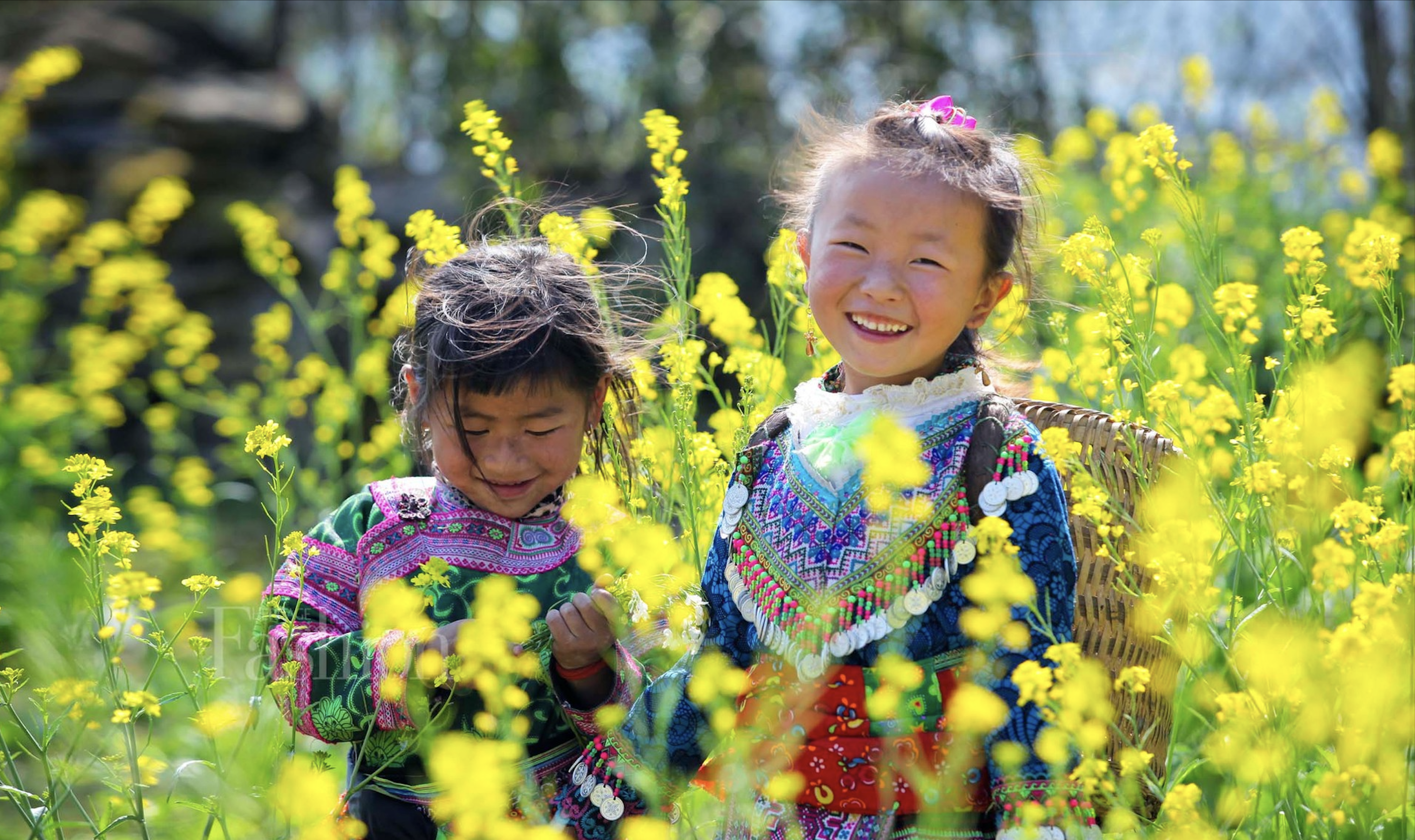 Sigue las flores de primavera