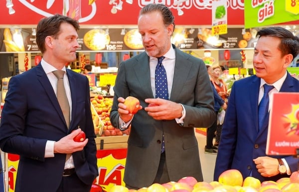 Dutch apples and pears find their way to Vietnam