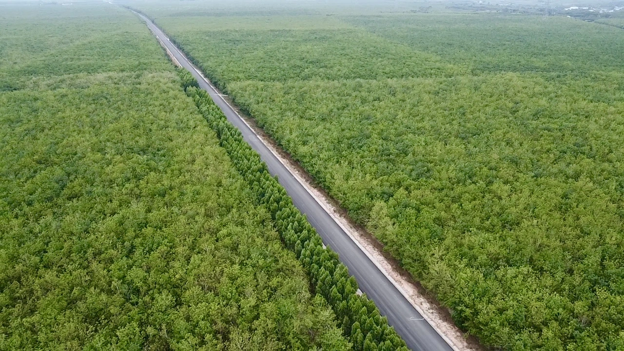 La carretera de Ho Chi Minh que atraviesa el bosque de caucho en Binh Duong se abre al tráfico el 30 de abril