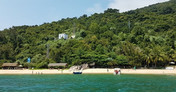 Establishment of Cu Lao Cham Nature Reserve