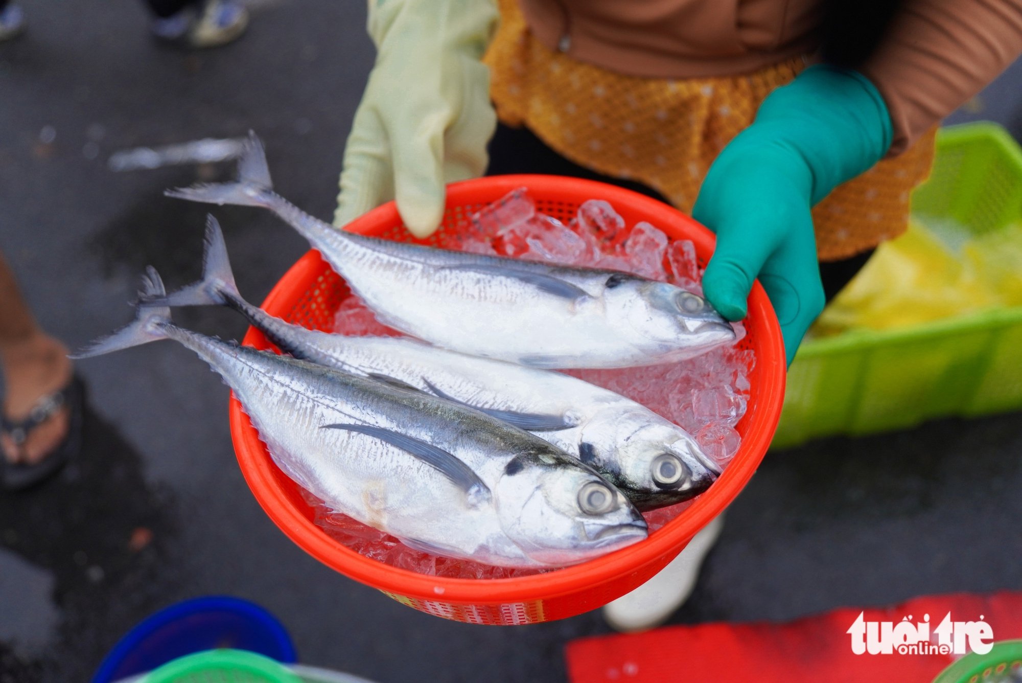 食べ物をキロ単位で量らず、皿でのみ販売するユニークな市場