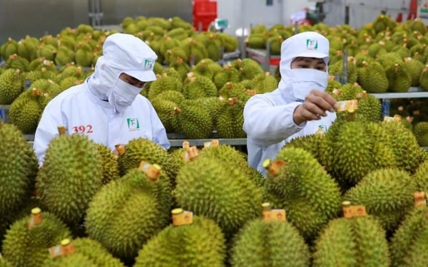 La UE abandona el objetivo de reducir los pesticidas en los productos agrícolas