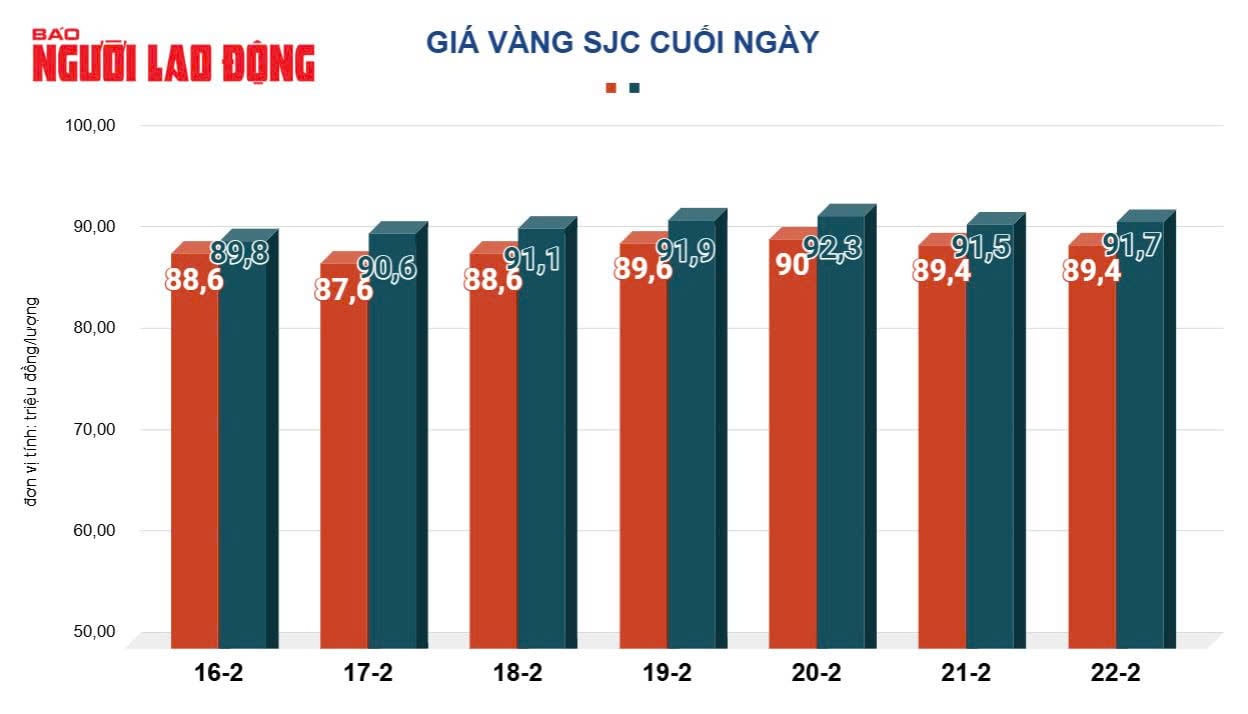 Giá vàng hôm nay 23-2: Dự báo bất ngờ sau khi liên tục lập đỉnh kỷ lục mới- Ảnh 3.