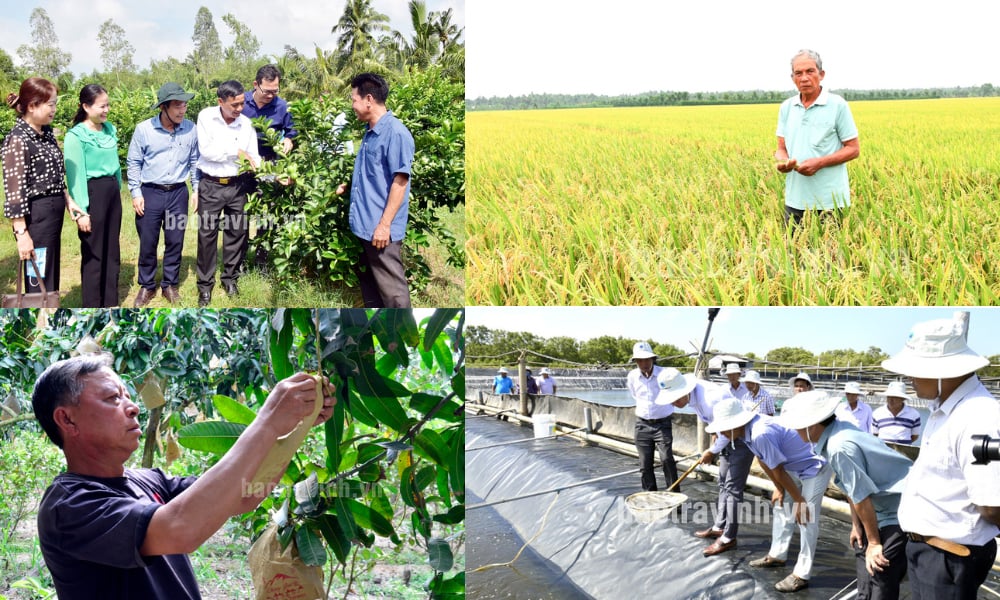 Tháo gỡ khó khăn, điểm nghẽn, khơi thông nguồn lực, xây dựng thành công nông nghiệp sinh thái, nông thôn hiện đại, nông dân văn minh