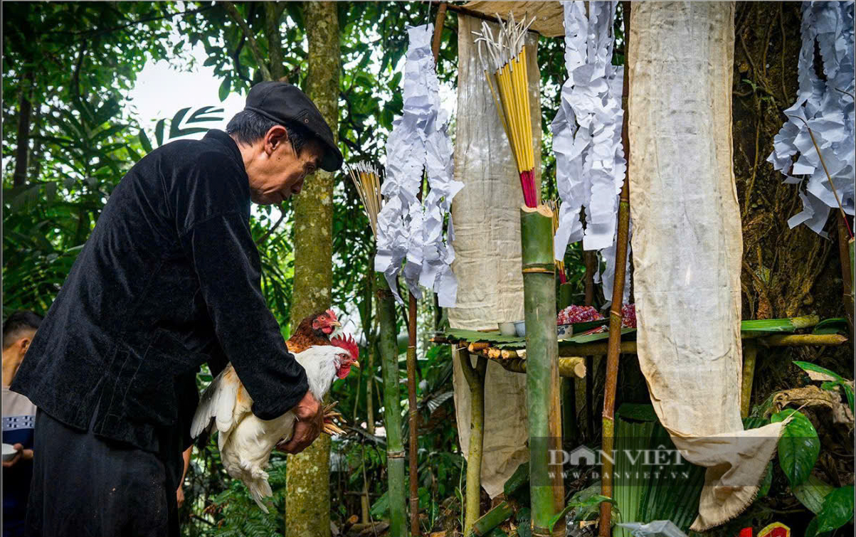 Unique National Intangible Cultural Heritage newly recognized in Yen Bai is a custom of the Mong people