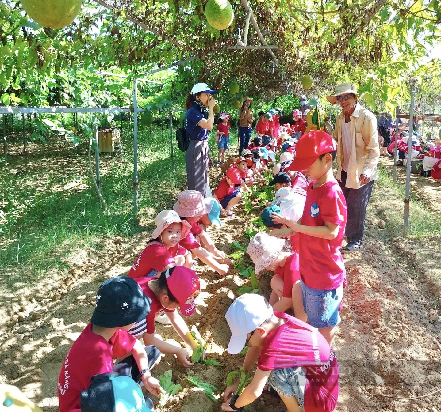 Nông thôn mới: Động lực để huyện Hòa Vang - TP Đà Nẵng thực hiện khát vọng vươn tầm lên đô thị  - Ảnh 11.