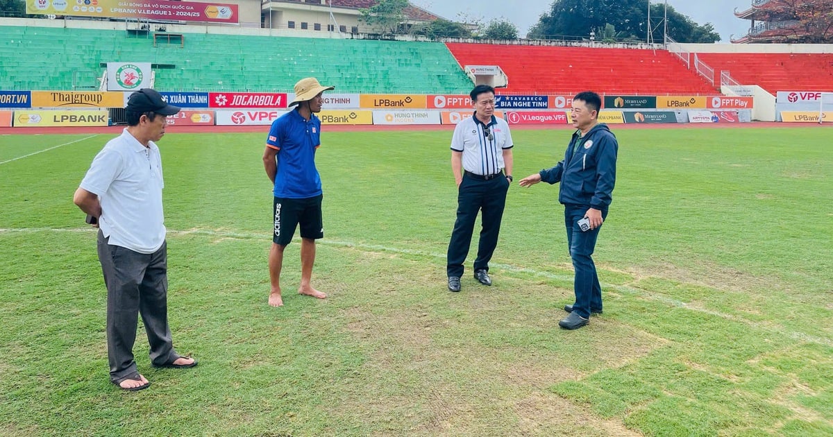 Quy Nhon's pitch surface still does not meet requirements, Binh Dinh Club is worried