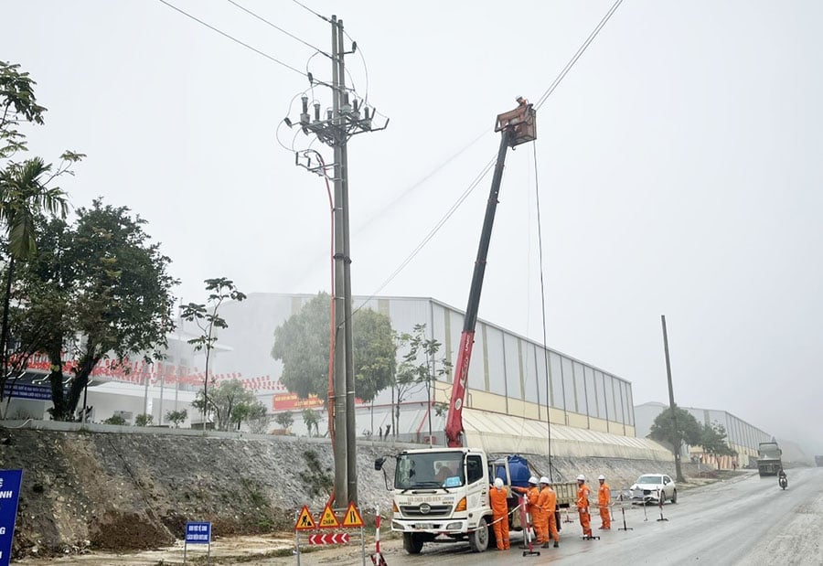 Công ty Điện lực Yên Bái ra quân Bảo vệ an toàn công trình lưới điện cao áp năm 2025