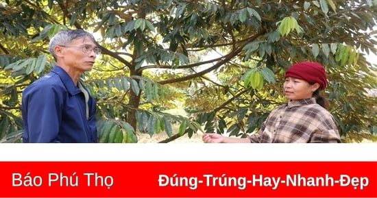 Phát huy vai trò đảng viên trong vùng đồng bào DTTS