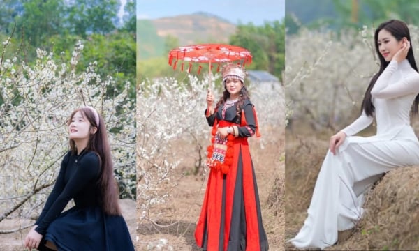 Check-in plum blossom season in Binh Lieu