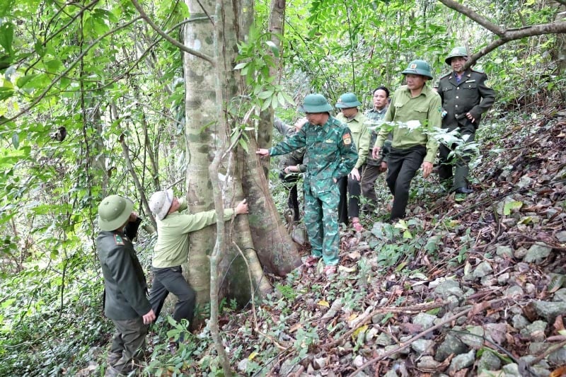 Tuần rừng ở phía núi Giăng Màn