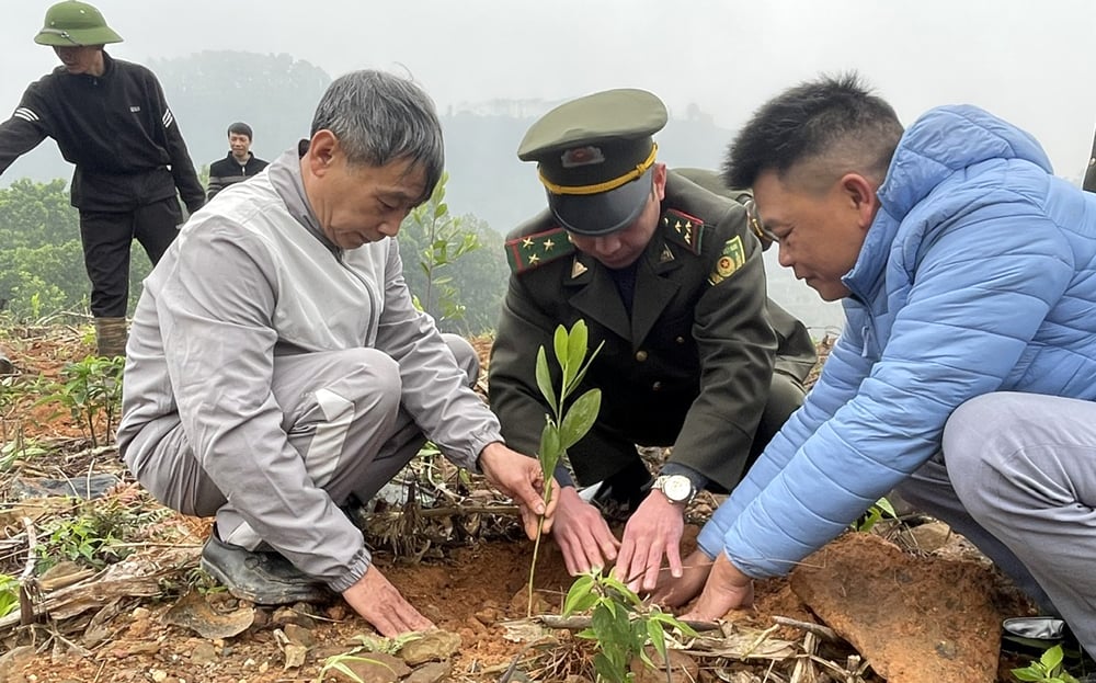 Yên Bái tích cực trồng rừng vụ xuân