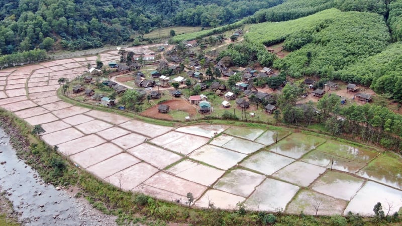 Cha Lo vào vụ mới