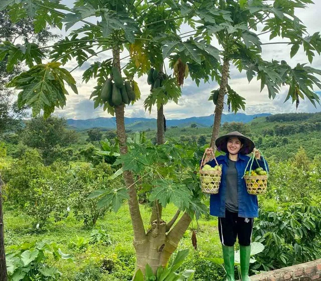 กลับสู่ชนบททำเกษตรหมุนเวียน กำไร 500 ล้านดอง/ปี