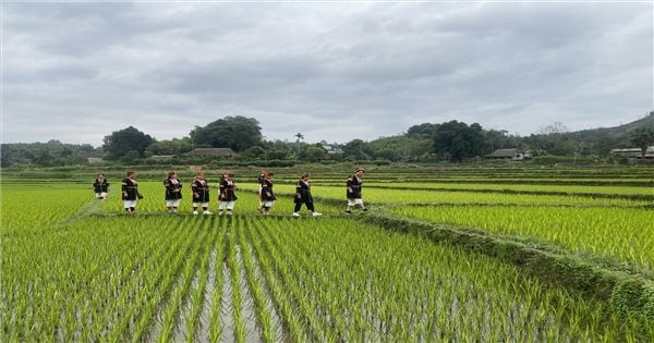 Tuyen Quang: 농부 지원, 농업 개발 및 지속 가능한 농촌 경제를 위한 솔루션 구현