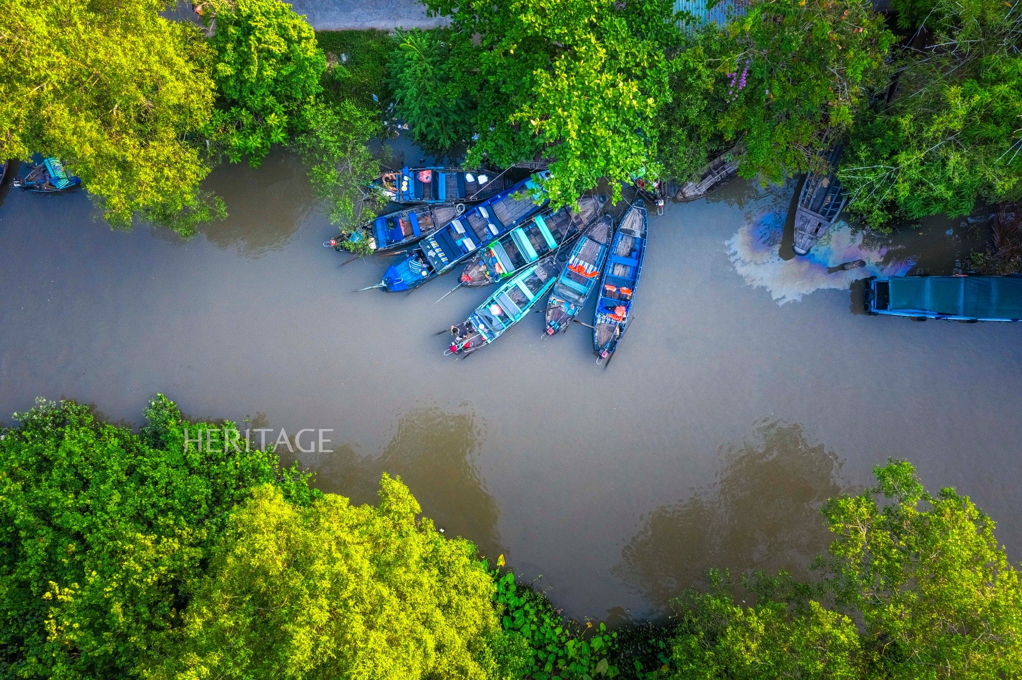 Cần Thơ trong mắt tôi