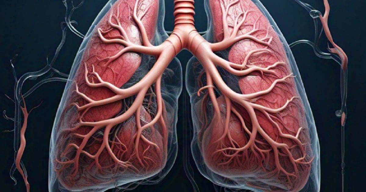 Para tener pulmones sanos ¿Qué frutas debemos priorizar en el consumo?