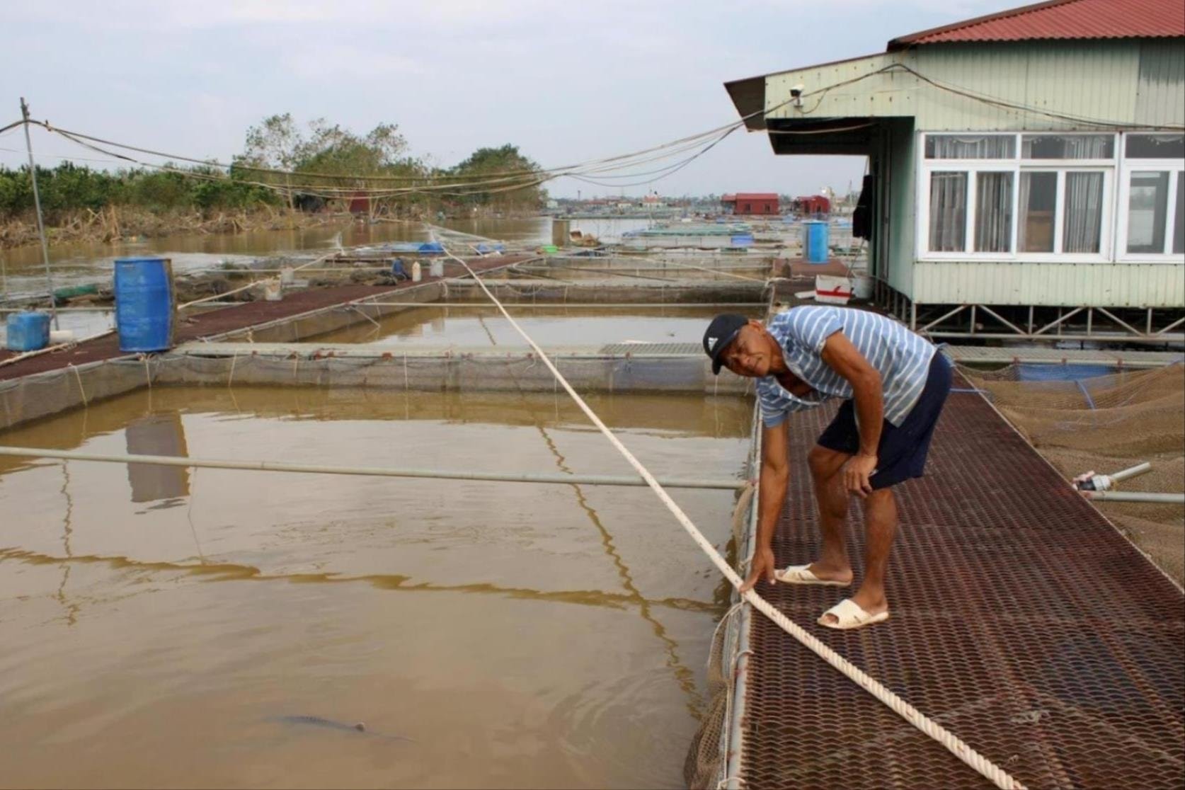 Hai Duong apoya a personas y empresas para restablecer la producción agrícola