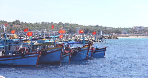 Schiffe geraten aufgrund von Verschlammung an der Mündung des Phan Thiet in Schwierigkeiten