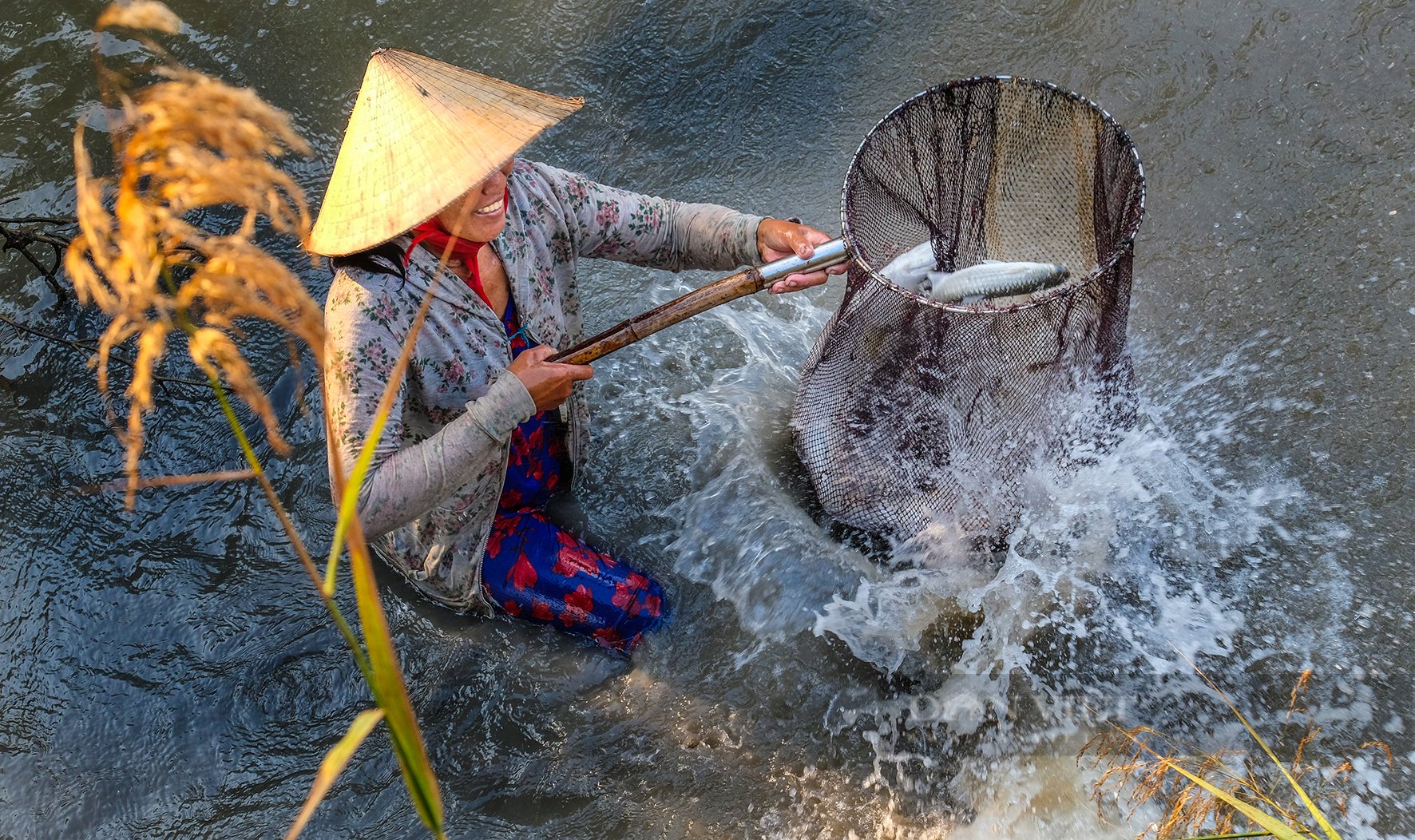 Nông dân Cà Mau làm điều này trước khi thả tôm giống, nhằm giúp chúng không bị “kẻ địch” tấn công  - Ảnh 6.