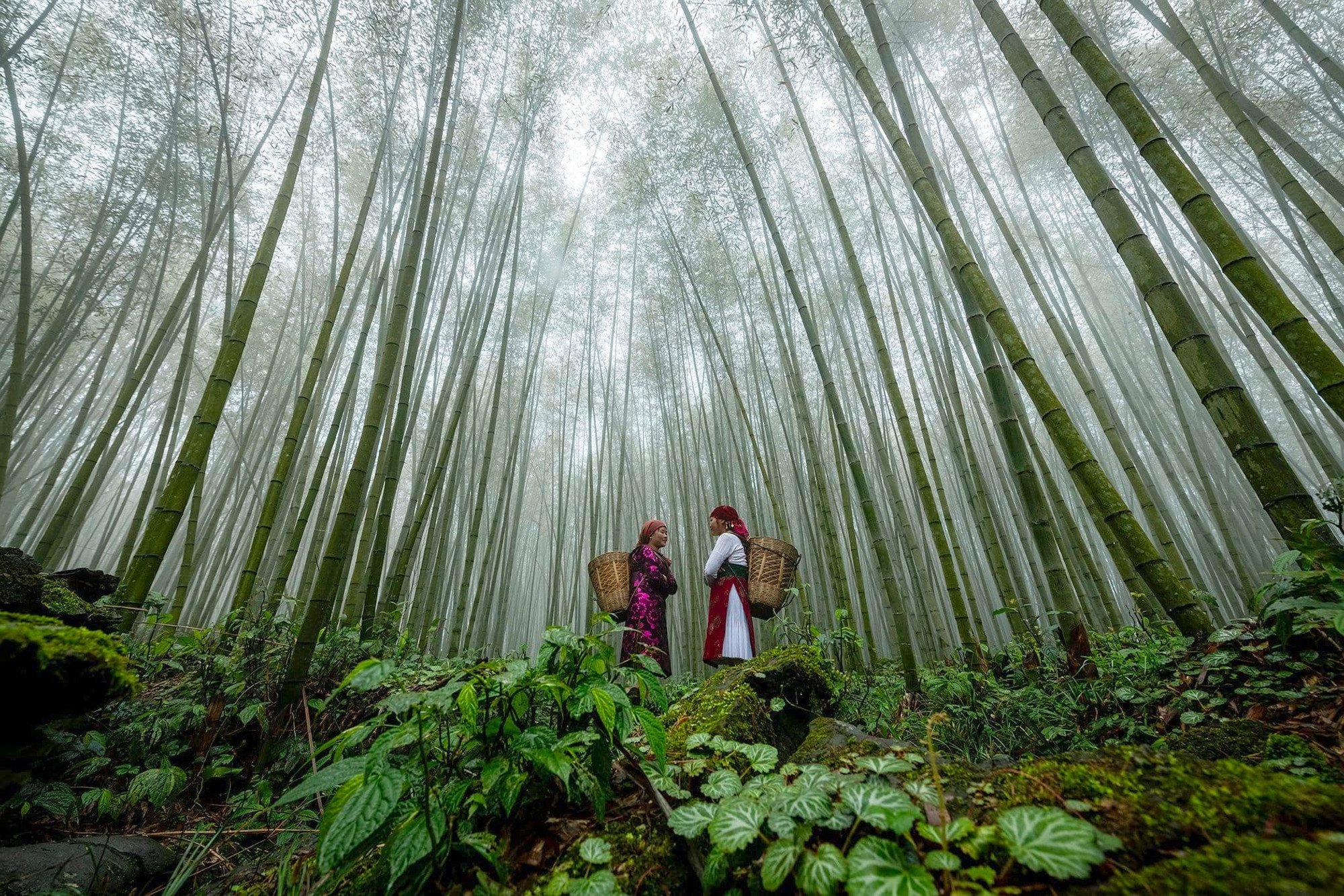 Developing community tourism in Ha Giang: When endogenous culture acts as an economic "lever"