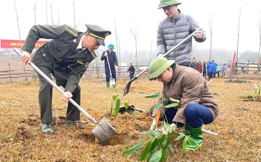 Cán bộ kiểm lâm huyện Văn Chấn tham gia trồng tre măng Bát độ tại xã Sùng Đô.