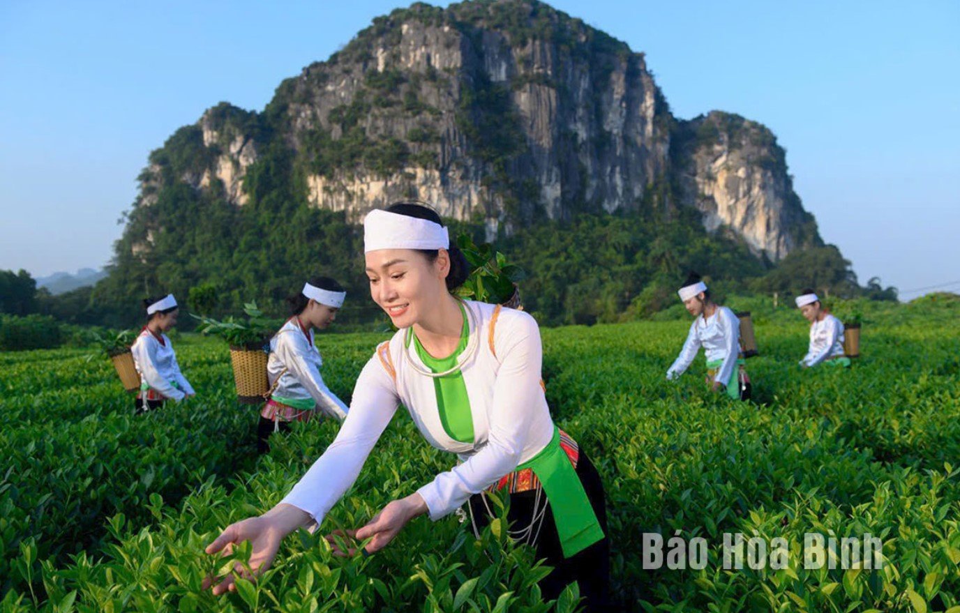 ผลิตภัณฑ์ OCOP ระดับ 4 ดาว ปี 2566 ของขวัญจากธรรมชาติ