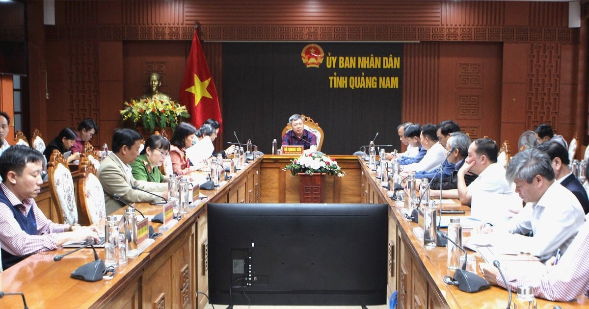 Building a database for the Quang Nam health sector to ensure consistency and efficiency