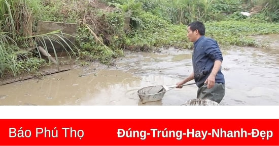 มุ่งมั่นจัดหาเมล็ดพันธุ์คุณภาพสำหรับพืชผลฤดูใบไม้ผลิ-ฤดูร้อนปี 2568