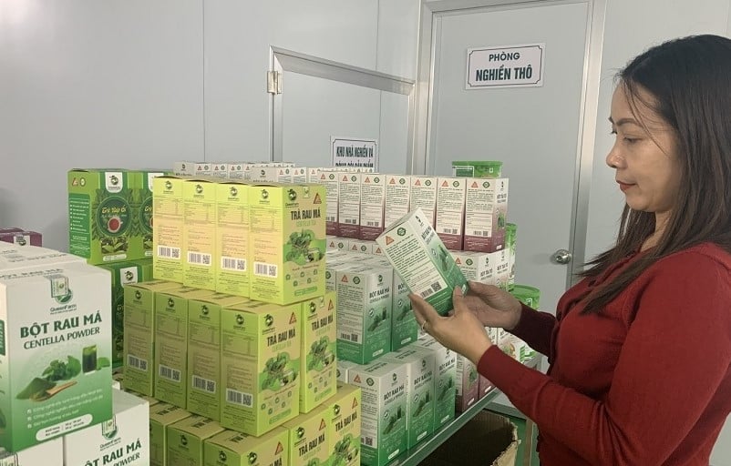 Esforzándonos por tener 160 productos OCOP más en 2025