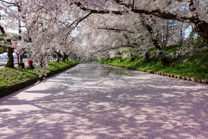 Experiences not to be missed when visiting Japan in spring