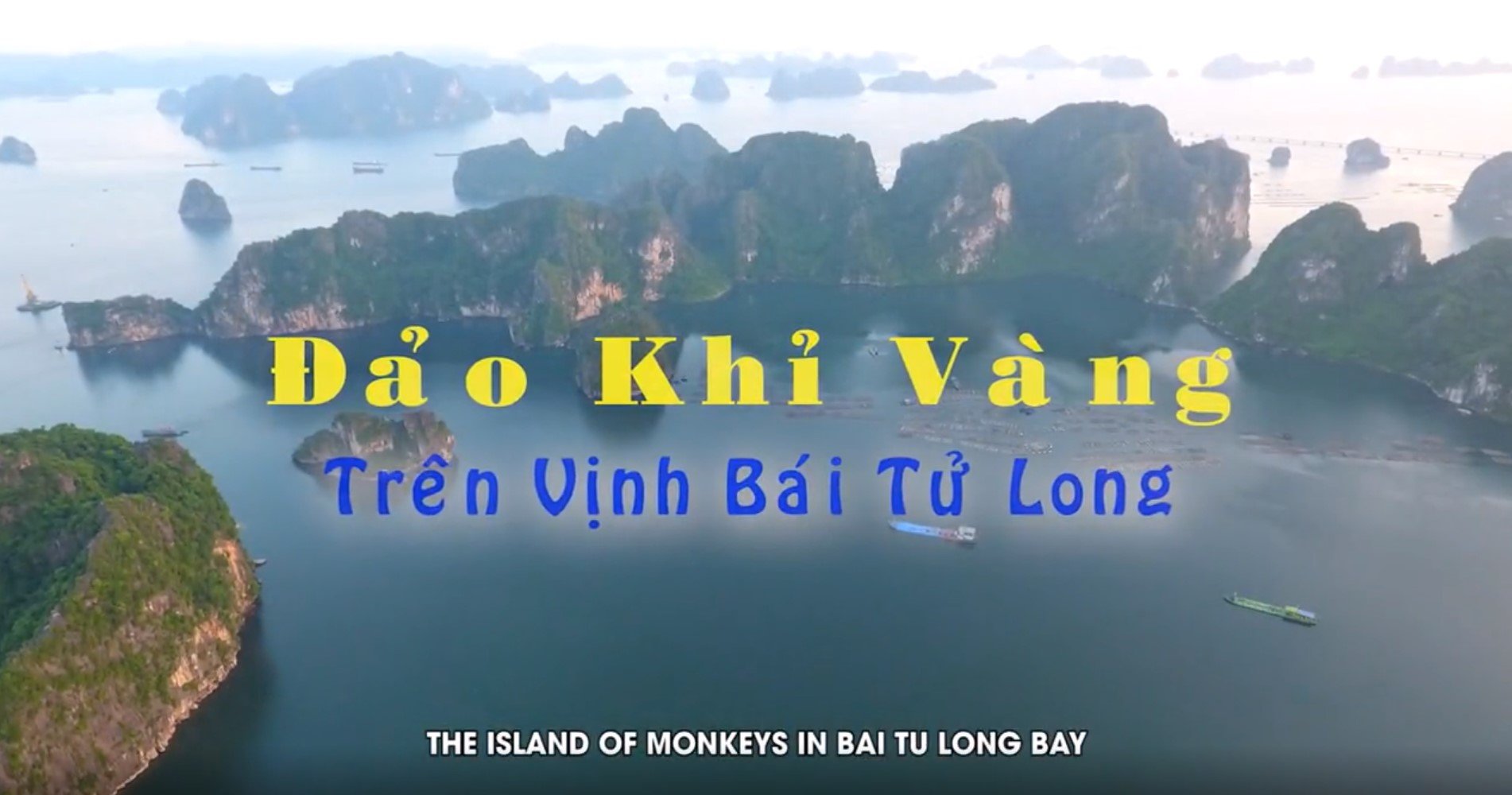 Đảo Khỉ Vàng trên Vịnh Bái Tử Long