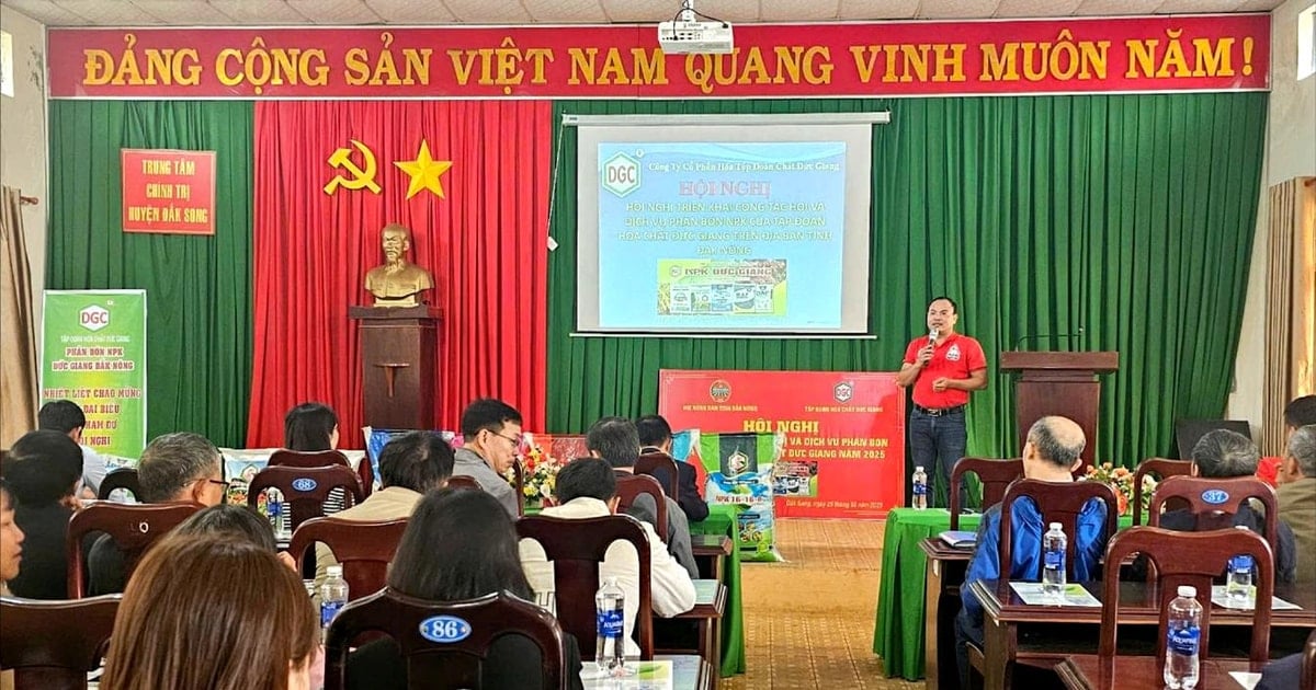 Casi 100 miembros participan en el servicio de fertilizantes de Duc Giang