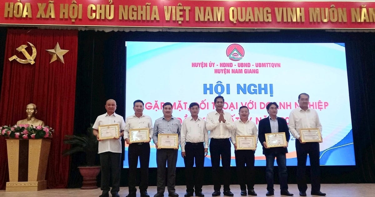 Nam Giang rewards 7 outstanding enterprises in 2024