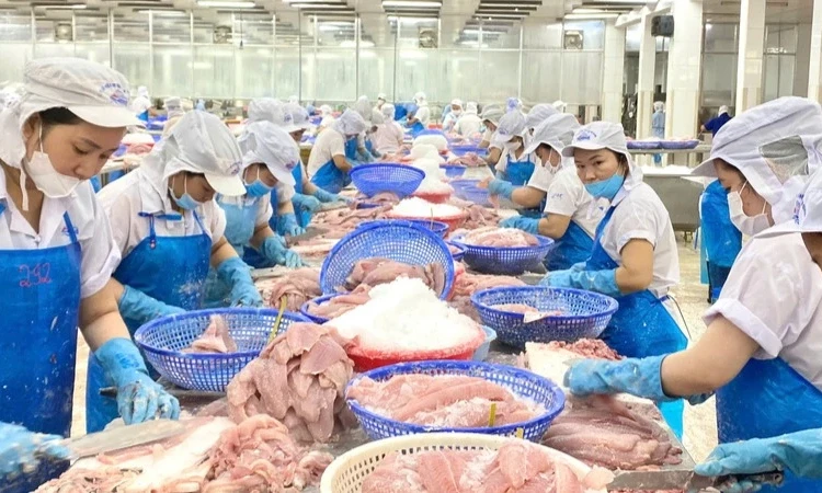 CPTPP-Marktblock steigt auf den zweiten Platz beim Import von vietnamesischem Pangasius auf